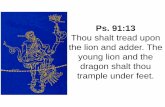 Thou shalt tread upon the lion and adder. The young lion ...fdocc.ucoz.com/2/07_seed_of_woman_constellations.pdf · unto you power to tread ... lion and the dragon shalt thou trample