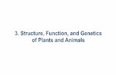 3. Structure, Function, and Genetics of Plants and Animals · PDF fileFunction of Animal Tissues. 3.4 Anatomy of Animal ... Animal cells do not have plastids or cell ... surroundings,
