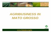 AGRIBUSINESS IN MATO GROSSO - Oklahoma State …oalp.okstate.edu/files/Brazil_2006/FAMATO.pdf · mato grosso´s development process subsistence economy primary production´s specialization