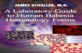 A Laboratory Guide to Humanpersonalconsult.com/free/BabesiaLabGuide.pdfA Laboratory Guide to Human Babesia Hematology Forms 1 The Insight Disaster Many people with tick or flea-borne