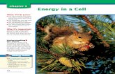 Chapter 9: Energy in a Cell - study the entire chapter online • access Web Links for more information and activities on cell energy • review content with the Interactive Tutor