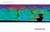 Schlumberger Limited 2008 Annual · PDF fileSchlumberger Petrel*seismic-to-simula- ... The recent years of increased exploration and production spending, however, have not been sufficient