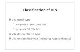 Classification of VIN - · PDF fileClassification of VIN" VIN, usual type Low-grade SIL (HPV only, VIN 1) High-grade SIL ... 49: 3450-61. Does This Matter?" Potential therapeutic relevance
