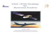 CNS / ATM Strategy for Business Aviation Final Report April... · CNS / ATM Strategy for Business ... The business aviation operator community which provided input to the CNS/ATM