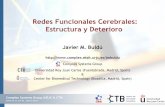 Redes Funcionales Cerebrales: Estructura y · PDF fileRedes Funcionales Cerebrales: ... One of the first contributions of the Complex Network Theory to ... Complex networks methods