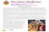 Brechin Bulletin - Diocese of · PDF fileBrechin Bulletin Diocese of Brechin ... and to Sharon Louden my PA and arole Spink my haplain for ... Rev Jenny Morton led Diocesan Conference