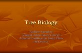 Tree Biology - Georgia Urban Forest · PDF fileTree Biology Andrew Saunders ... Leaf Scar – the attachment point on a twig ... drying out of leaf Stomata-small openings on leaf surface