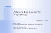 Amgen: The Leader in Nephrology - IIS Windows Serverlibrary.corporate-ir.net/library/61/616/61656/items/221868/AMGEN... · Amgen: The Leader in Nephrology Helen Torley VP and General
