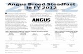 Angus Breed Steadfast in FY 2012 End 12.12.pdfActive junior 5,298 ... the Foodservice and International division ... (AM); AMC = tested and found to be a carrier of AM.