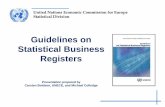 Guidelines on Statistical Business Registers - UNECE  · PDF fileGuidelines on Statistical Business Registers ... treatment of government units, ... regional and local government