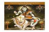 Experience The All-Pervading Divine Consciousnessleicestersaicentre.org/03_events 13_shivaratri discourse.pdf · Easwara replied that the same ... like the great artist Ravi Varma.