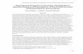 Operational Program to Develop Phytophthora lateralis ... · PDF fileAbstract . Port-Orford-cedar (Chamaecyparis lawsoniana (A. Murr.) Parl.) (POC) is a long-lived conifer native to