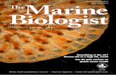 Issue 3 Autumn 2014 ISSN 2052-5273 The Marine · PDF fileIssue 3 Autumn 2014 ISSN 2052-5273 ... Sharks and rays are important, ... (FSBI) symposium in Plymouth on the topic of “The