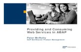 Providing and Consuming Web Services in ABAP · PDF fileProviding and Consuming Web Services in ABAP Peter McNulty SAP NetWeaver Product Management ... Describes how to advertise and