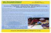 Central African Republic: linking rights, capacity ... CAR briefing REDD FLEGT.pdf · Background to the Central African Republic The Central African Republic ... This places a legal