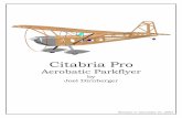 Citabria Pro - Joel Dirnberger's Home · PDF filefuselage assembly. Citabria Pro Building Instructions ... jig as shown to position the wing ... q Locate the wing spar parts S1, S2,