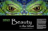 Beauty - Nature Picture Library in the Beast.pdf · My photographic work has always focused on showing the “beauty in the beast” - snakes, spiders, lizards, creepy crawlies and