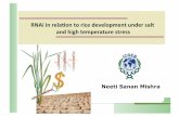 RNAi!in!rela+on!to!rice!development!under!salt ...ilsi-india.org/PDF/international_conference_on_new_plant_breeding... · Prof. A. Bhattacharya, JNU Dr. D. Gupta, ICGEB Dr. S. Mangurathia,