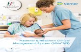 Maternal & Newborn Clinical Management System (MN … State... · Management System (MN-CMS) Project ... single record on ... Cerner became active in the Irish market in 2005 delivering