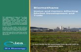 Biomethane - Status and Factors Affecting Market ... · PDF file1 This publication focusses on th e status of biomethane (which includes upgraded biogas and bio-SNG) production, grid