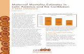 Maternal Mortality Estimates in Latin America and the ... agencies. The Pan American ... calculating maternal mortality. 3. Estimating the MMr ... Neonatal mortality rate