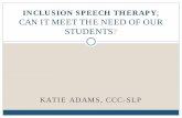 INCLUSION SPEECH THERAPY; CAN IT MEET THE … an inclusion speech therapy model? I began to trial this model after thinking about the following: Effectiveness of pull out speech therapy