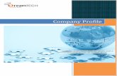 CCoommppaannyy PPrrooffiillee - Dreamtech Profile.pdf · that needs to be in place for making the off-shoring process a success. ... provides full life-cycle solutions ... Dreamtech’s