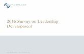 2016 Survey on Leadership Development - Borderless Borderless Perspective â€¢ A majority of respondents (54%) rate the leadership development activities in . â€¢ â€¢in