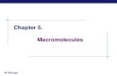 Chapter 5. Macromolecules - Conroe ISDorhsstaff.conroeisd.net/Teachers/ewhiteside/30CEE441-00870B2F.10/16...AP Biology Chapter 5. Macromolecules. AP Biology Macromolecules ... form