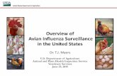 Overview of Avian Influenza Surveillance in the … Influenza Surveillance . in the United States . ... o H5 viral RNA isolated from Muscovy ducks in PA ... PowerPoint Presentation