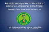 Principle Management of Wound and Fracture in · PDF fileVacuum Assisted Closure Compression Elastic Bandage Principle Wound and Skin coverage Without skin loss y Primary clossure
