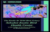 The Exotic & Wild Bird Aviary Schubot Exotic Bird …vetmed.tamu.edu/files/vetmed/giving/opportunities/Schubot_Exotic...The Exotic & Wild Bird Aviary Schubot Exotic Bird Health Center