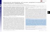 Structural mechanism of serum amyloid A-mediated ... · PDF fileStructural mechanism of serum amyloid A-mediated inflammatory amyloidosis Jinghua Lua, Yadong Yub, ... (SAA) represents