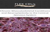 Chronic Musculoskeletal Conditions and · PDF fileDEBATE Open Access Is neuroplasticity in the central nervous system the missing link to our understanding of chronic musculoskeletal