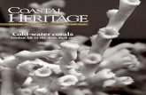 Coastal Heritage - S.C. Sea Grant  · PDF fileWinter 2009 • Coastal Heritage Cold-water corals Ancient life in the deep, dark sea C VOLUME 23, NUMBER 3 WINTER 2009