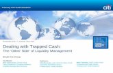 Dealing with Trapped Cash - Citibank - Banking with · PDF fileDealing with Trapped Cash: ... commercial and financial. ... Invoice Invoice $ Invoice $ Goods Restricted Market 3rd