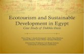 Ecotourism and Sustainable Development in Egyptdornsife.usc.edu/assets/sites/1/docs/levan/AmCham_Presentation... · Ecotourism and Sustainable Development in Egypt Case Study of Dakhla