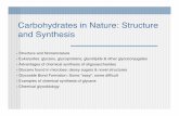 Carbohydrates in Nature: Structure and Synthesis in Nature: Structure and Synthesis ... • Glycoside Bond Formation: Some “easy”, some difﬁcult