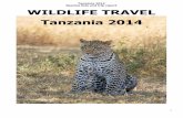 Tanzania 2014 WILDLIFE TRAVEL Tanzania 2014wildlife-travel.co.uk/wp-content/uploads/2017/08/Tanzania2014-Trip...WILDLIFE TRAVEL Tanzania 2014. ... and the reeds became alive with the