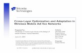 Cross-Layer Optimization and Adaptation in Wireless · PDF fileCross-layer optimization and adaptation improves performance in the user plane –Fast-handoff for mobile using triggers