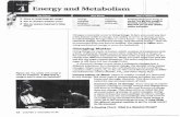 Energy and Metabolism - · PDF fileEnergy and Metabolism ... Livingthings are made ofmatter, which consists 0ia ubstance with aform. ... The substances that make up ~ matter do not