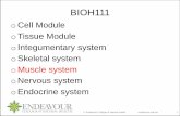 BIOH111 SN11 Muscular System · PDF fileoIntegumentary system oSkeletal system ... Cardiac muscle tissue - striated, involuntary control 3. Smooth (visceral) muscle tissue –non-striated,