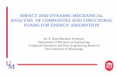 IMPACT AND DYNAMIC MECHANICAL ANALYSIS OF · PDF file · 2004-09-28•Vibrations and experimental modal analysis for structural health monitoring ... Two half-size panels machined