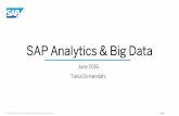SAP Analytics & Big Data -  · PDF fileSAP Analytics & Big Data June 2016 ... Intro by Merlijn Ekkel ... CMDB Contract Expert Access Executive Access Customer Access