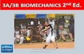 3A/3B BIOMECHANICS 2nd Ed. - PE Studies Revision …pestudiesrevisionseminars.com.au/...3_Biomechanics... · Biomechanics – what is it? 4 Linear kinetics • Newtons 2nd law of