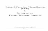 Network Function Virtualization - TECtec.gov.in/pdf/Studypaper/Network_Function_Virtualization .pdf · Page 1 Study Paper on Network Function Virtualization (NFV) & Its impact on