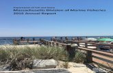 Department of Fish and Game Massachusetts Division of ... · PDF fileMassachusetts Division of Marine Fisheries 2016 Annual Report 1 Department of Fish and Game Massachusetts Division