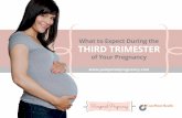 What to Expect During the THIRD TRIMESTER · PDF fileWhat to Expect During the Third Trimester of Your ... quite as tender as they did in your first trimester, ... sex is still safe