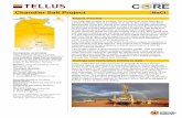 Chandler Salt Project NaCI - NT Government – CORE · PDF fileChandler Salt Project Company overview Tellus Holdings ... Tellus Holdings Mr Duncan van der Merwe ... within 30 km of