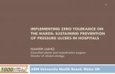 IMPLEMENTING ZERO TOLERANCE ON THE WARDS: SUSTAINING PREVENTION OF PRESSURE ULCERS IN HOSPITALS HAMISH LAING Consultant plastic and reconstructive surgeon Director of clinical strategy
